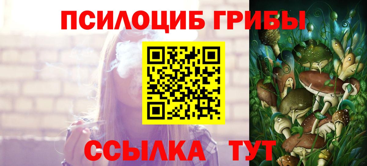 Галлюциногенные грибы Psilocybe Видное