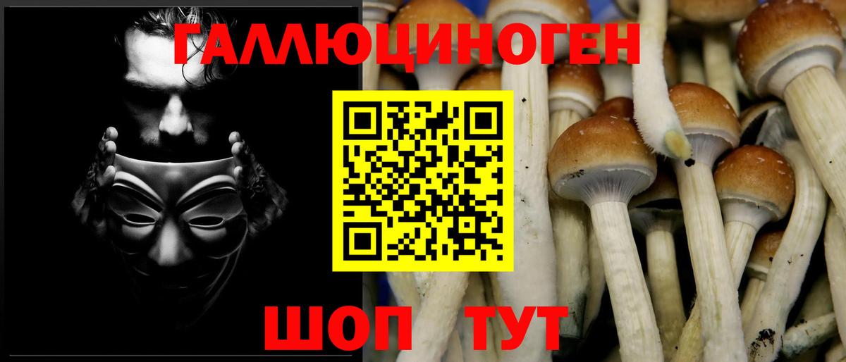 Псилоцибиновые грибы Psilocybe  наркотики  Видное  Псилоцибиновые грибы Magic Shrooms  Вход с VPN 